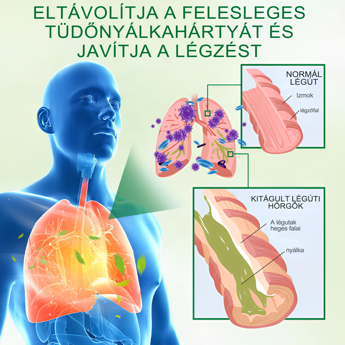 🍈𝐆𝐨𝐨𝐲𝐞𝐞𝐫™ Fejlett Tüdőtisztító Spray -Támogatja a tüdő, a hörgők és az orrmelléküregek egészségét, elősegíti a légzőrendszer egészségét és a könnyebb légzést